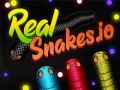 RealSnakes.io