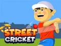 Уличный крикет